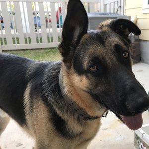 Meet your Posher, Alec